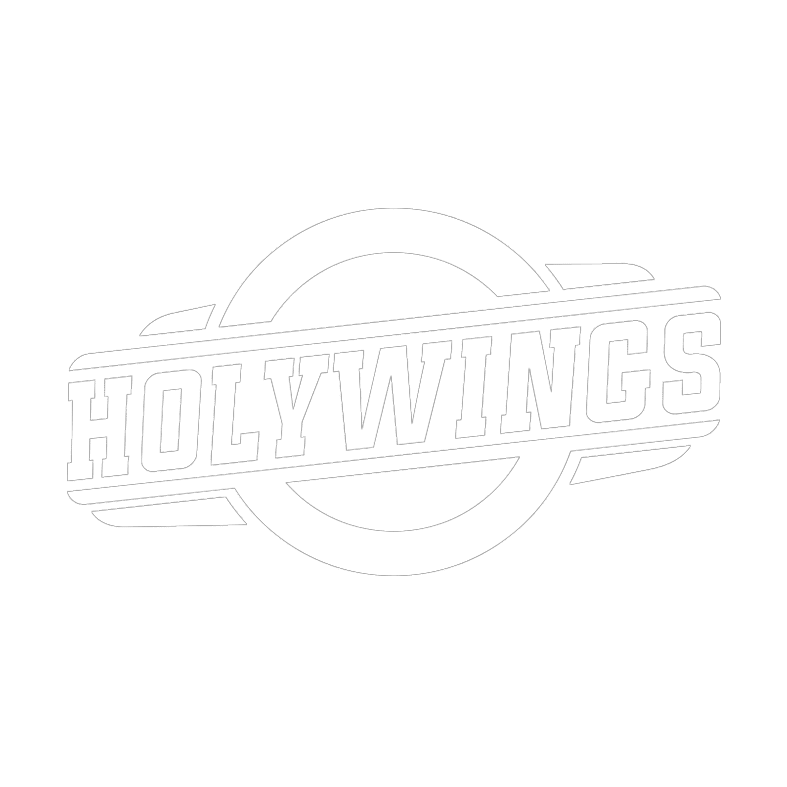 web _ Logo Holywings- baru